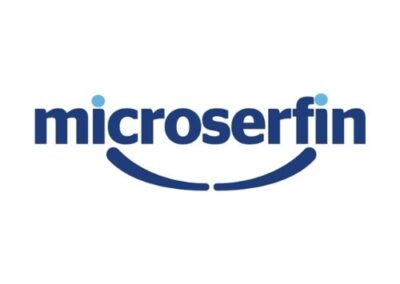 Microserfin