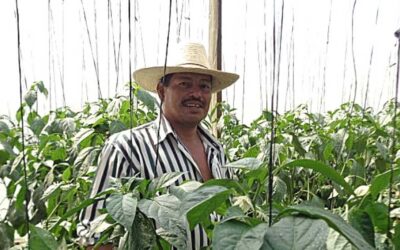 ADA y REDCAMIF mejoran la calidad de vida