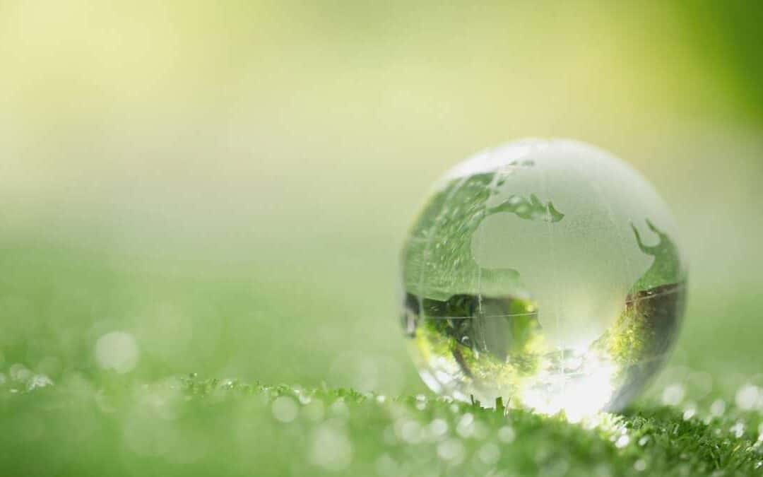 Tendencias del quinquenio en Desempeño Social