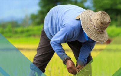 Avances y Desafíos del Financiamiento Verde en Centroamérica