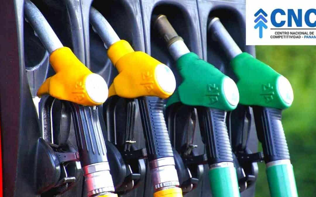 Alza del Combustible: situación e impacto