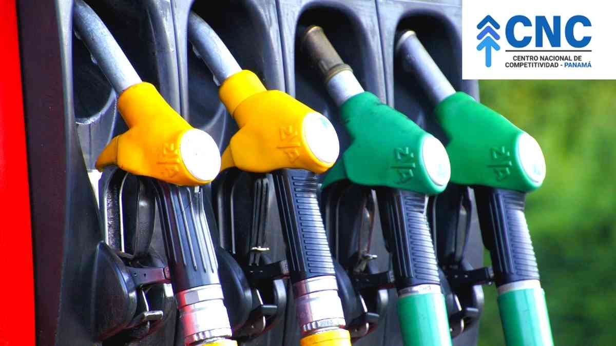 alza del combustible