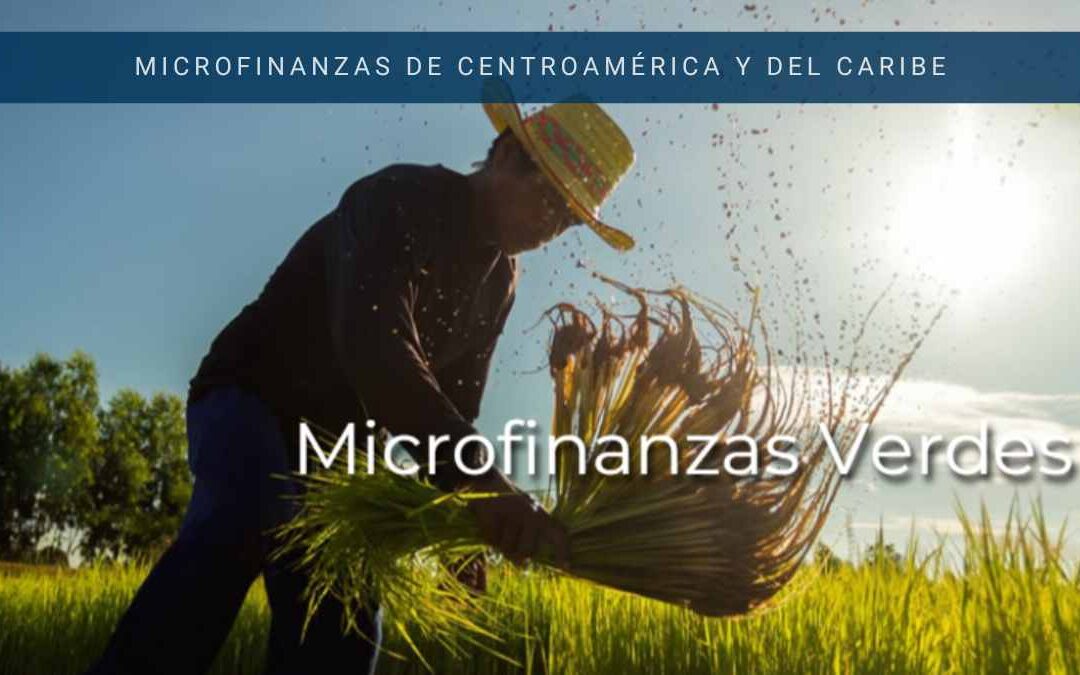Revista Microfinanzas de Centroamérica y del Caribe – REDCAMIF