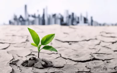 Exposición potencial de la cartera MYPE al riesgo climático