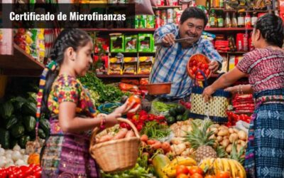 Certificado de Experto en Microfinanzas