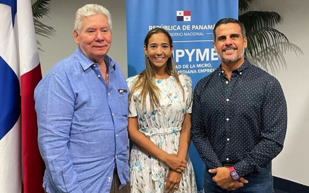 Reunion AMPYME – Planes 2024.