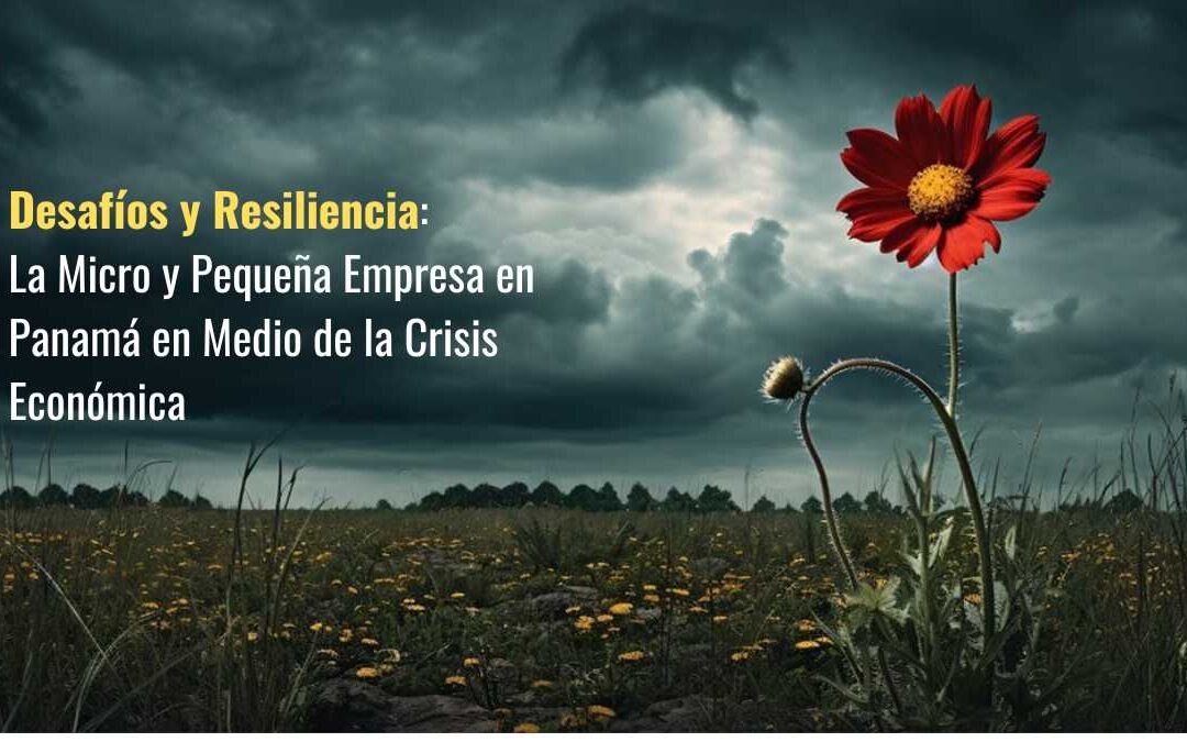 Desafíos y Resiliencia: La Micro y Pequeña Empresa en Panamá en Medio de la Crisis Económica