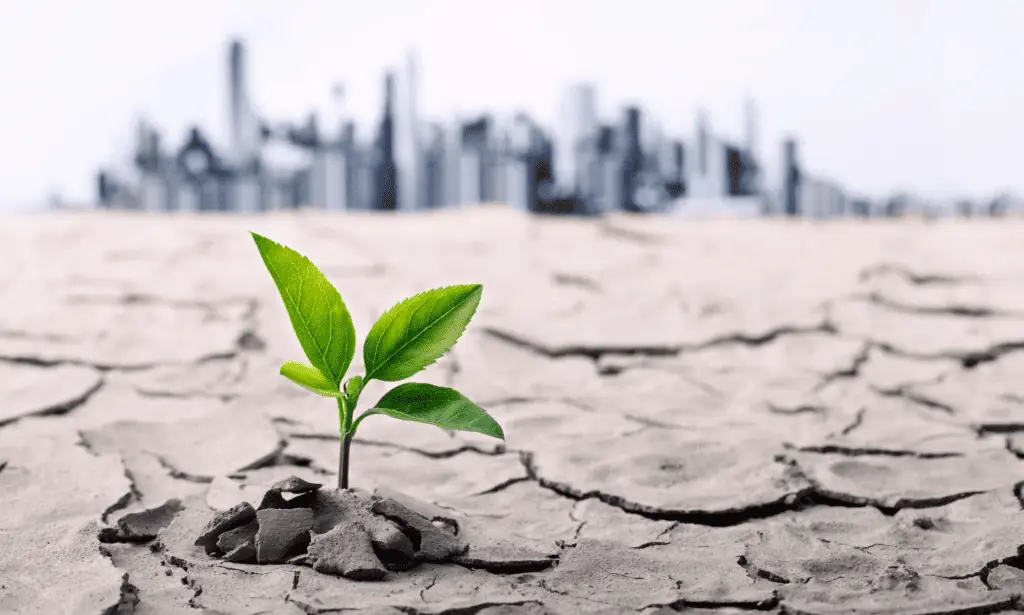Microrate-y-cambio-climatico cambio climático